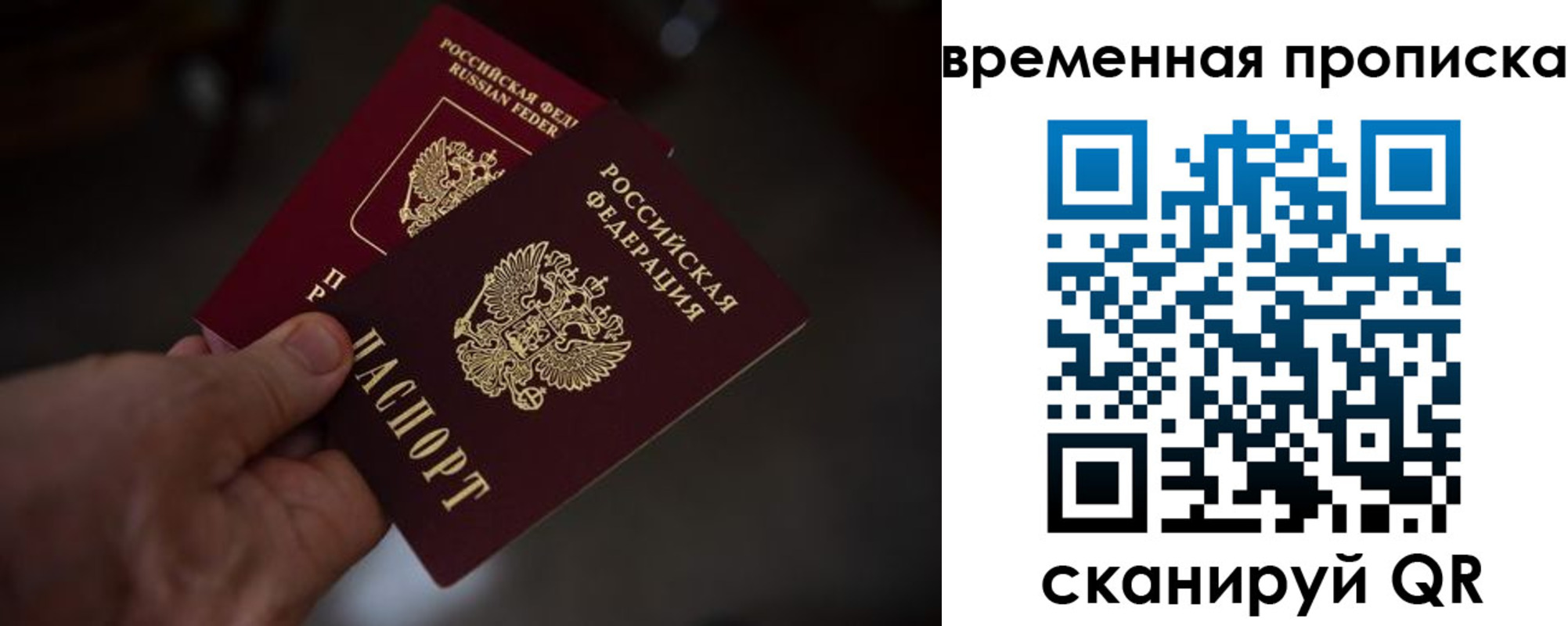 прописка в Бологом